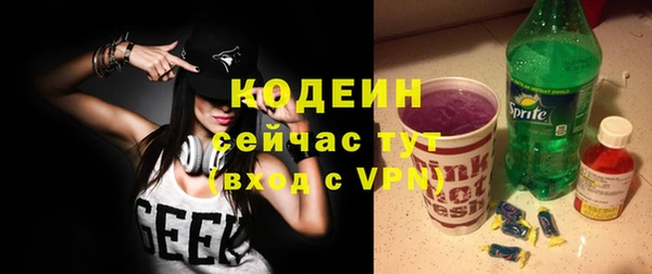 амф Ельня