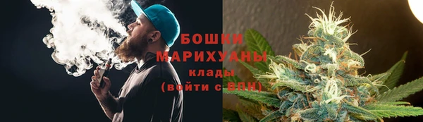амф Ельня