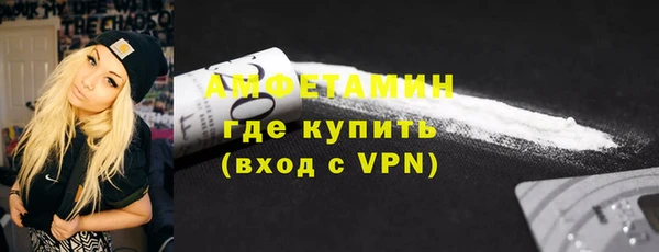 амф Ельня