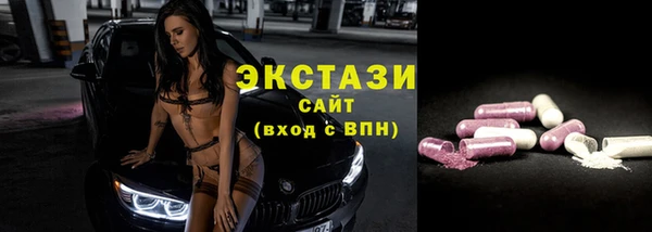 амф Ельня