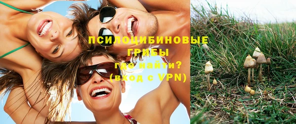 2c-b Елабуга
