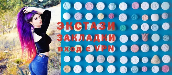 амф Ельня