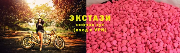 амф Ельня