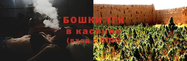 амф Ельня