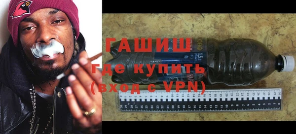 амф Ельня