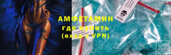 амф Ельня